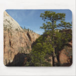 Trail to Angels Landing in Zion National Park Mouse Pad