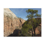 Trail to Angels Landing in Zion National Park Postcard