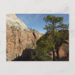 Trail to Angels Landing in Zion National Park Postcard