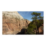 Trail to Angels Landing in Zion National Park Poster