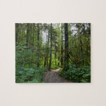 Trail to Marymere Falls I Jigsaw Puzzle