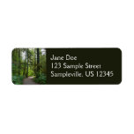 Trail to Marymere Falls I Label