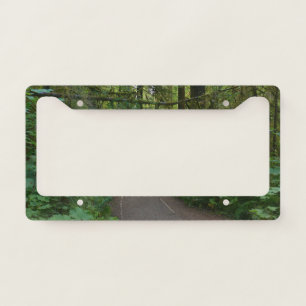 Trail to Marymere Falls I License Plate Frame