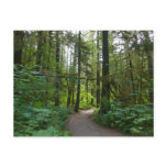 Trail to Marymere Falls I Postcard