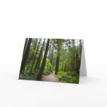 Trail to Marymere Falls II Card