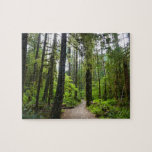Trail to Marymere Falls II Jigsaw Puzzle