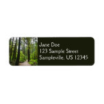 Trail to Marymere Falls II Label