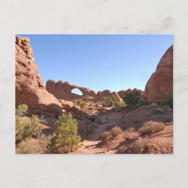 Trail to Skyline Arch Postcard (Front)