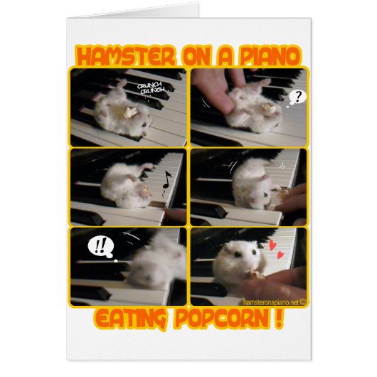 Trailer Cards (Front)
