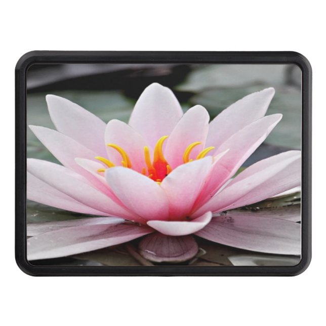 Trailer Hitch Cover (Front)