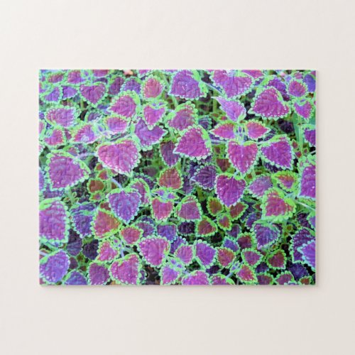 Trailing Burgundy Coleus Jigsaw Puzzle