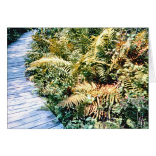 Trailside Flora Cards