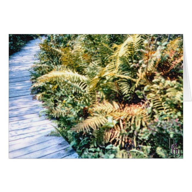 Trailside Flora Cards (Front Horizontal)