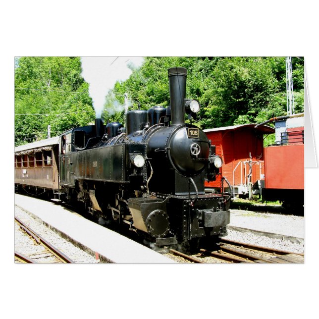 Train at Chamby railway museum Cards (Front Horizontal)