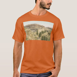 train in the Grand Canyon T-Shirt