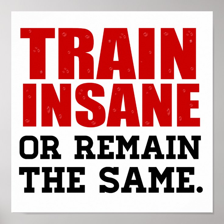 Train Insane Or Remain The Same Poster 