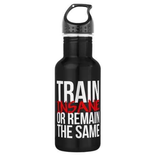 Train insane or remain the same stainless steel water bottle