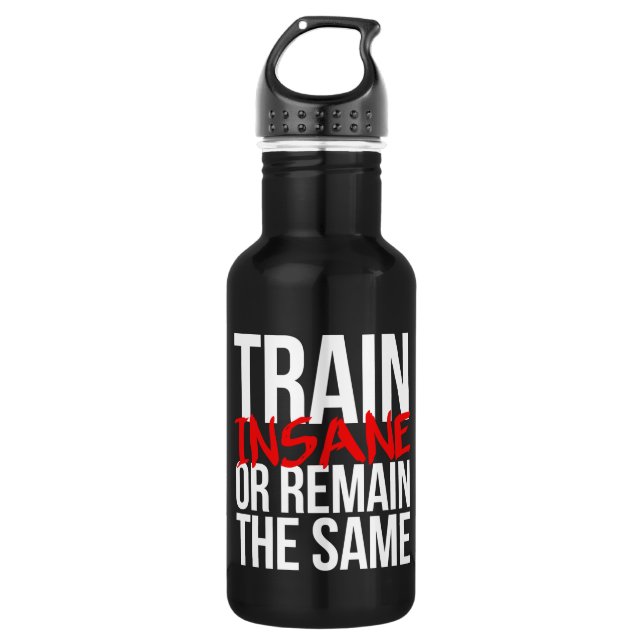 Train insane or remain the same stainless steel water bottle (Front)