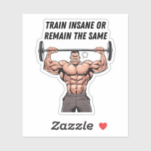 Train Insane Or Remain The Same Sticker