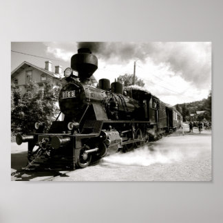 Train Leaving Station Poster
