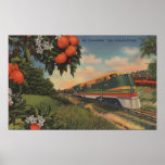 Train- Orange Blossom Special Poster at Zazzle
