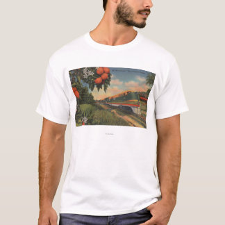 Train- Orange Blossom Special T-Shirt
