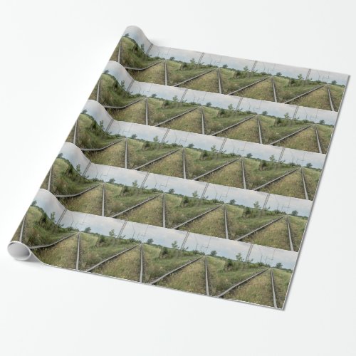 train rails wrapping paper