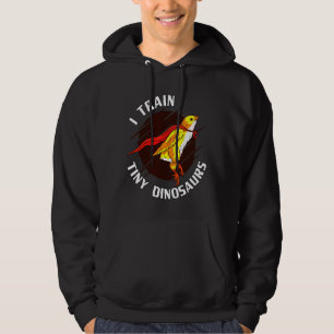 Train Tiny Dinosaurs Chicken Hoodie