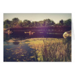 Train Tracks Across River