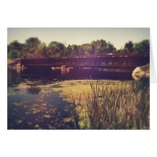 Train Tracks Across River Cards