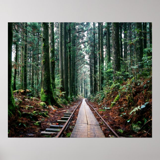 Train Tracks in the Forest Poster (Front)