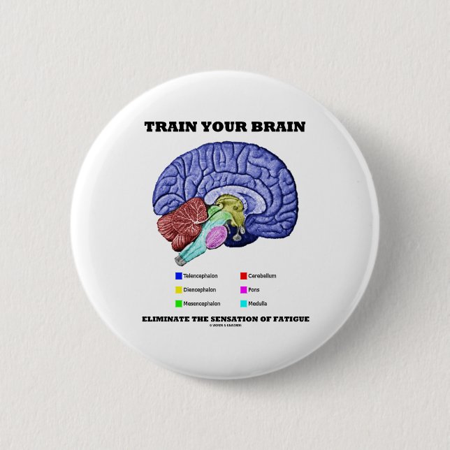 Train Your Brain Eliminate Sensation Of Fatigue Pinback Button (Front)
