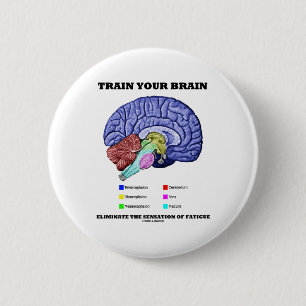 Train Your Brain Eliminate Sensation Of Fatigue Pinback Button