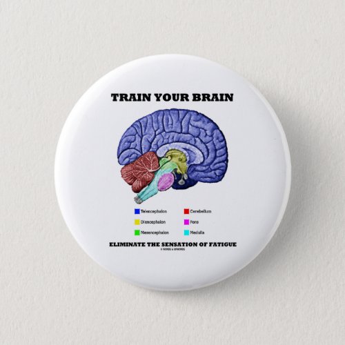 Train Your Brain Eliminate Sensation Of Fatigue Pinback Button