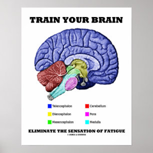 Train Your Brain Eliminate Sensation Of Fatigue Poster