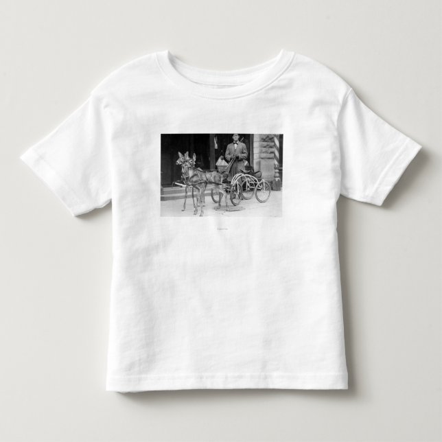 Trained Deer Harnessed to an Odd Sleigh on Wheel Toddler T-shirt (Front)