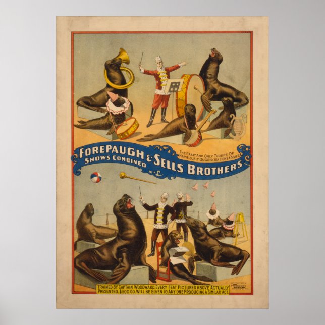 Trained Seals Circus Poster - Forepaugh & Sells (Front)