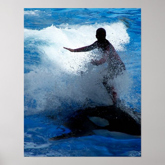 Trainer riding on killer whale orca photograph poster (Front)