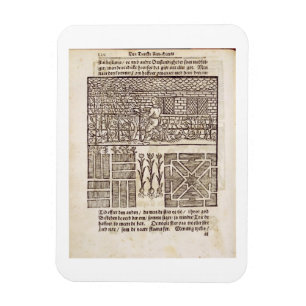 Training and Planting in the garden, from 'The Dut Magnet