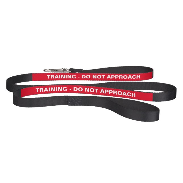 Training - do not approach leash (Full)
