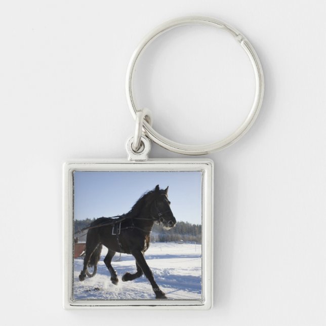 Training of horses in a wintry landscape, keychain (Front)