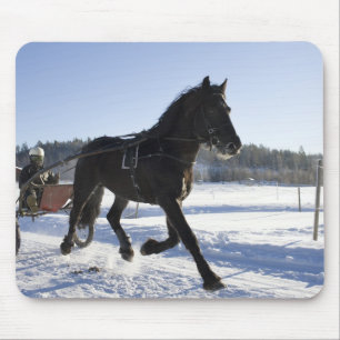 Training of horses in a wintry landscape, mouse pad