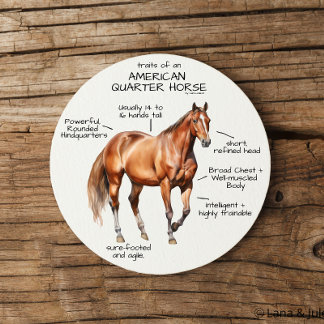 Traits of an American Quarter Horse Coaster