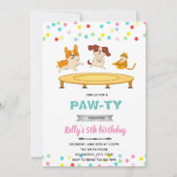 Trampoline jump cat dog pawty theme