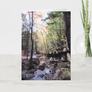 Tranquil Birthday Wishes Card