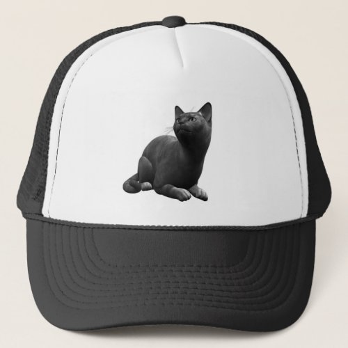 Tranquil Black Cat Hat