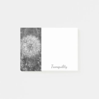 Tranquil Black & White Puff Notes