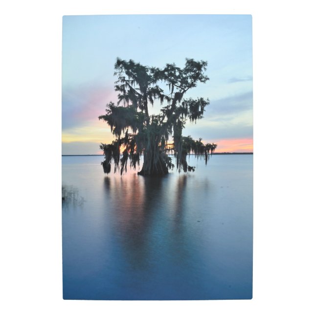 Tranquil Cypress Tree at Sunset Over Serene Lake Metal Print (Front)