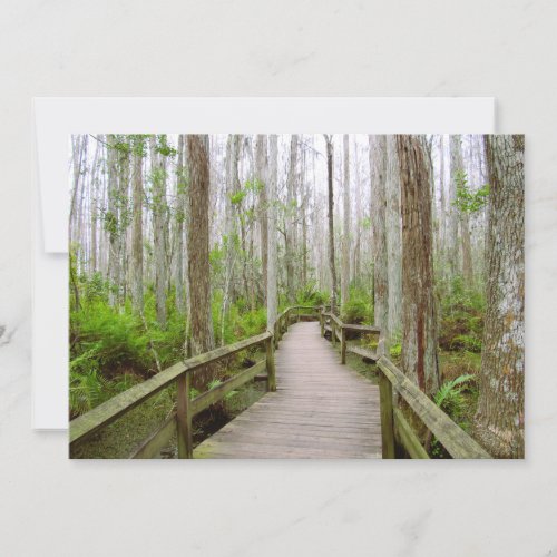 Tranquil Day in the Swamp Flat greeting card