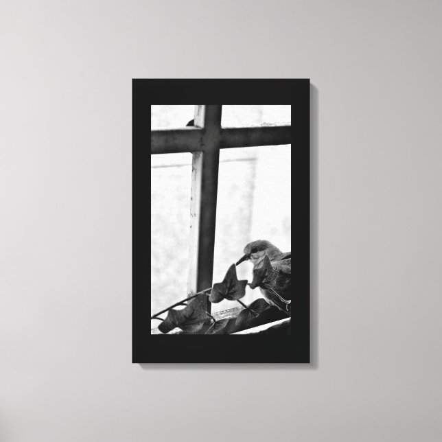 Tranquil Dove Canvas Print (Front)